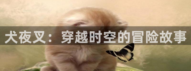 小美代如是说 动漫之家