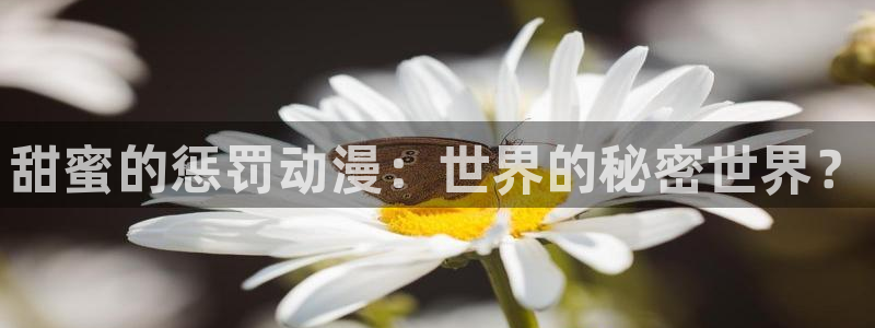 动漫之家下载的小说