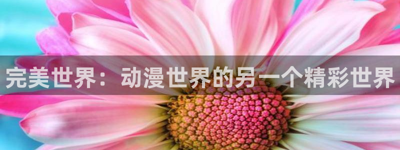 动漫之家用不了